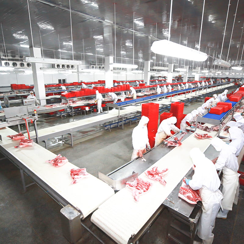 Pig secans et deboning solutio